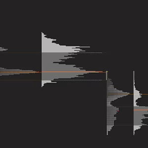 Price Action Volume Trader – Trading with Market & Volume Profile