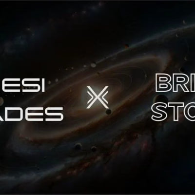 Dhesi & Brian : Education with Discord