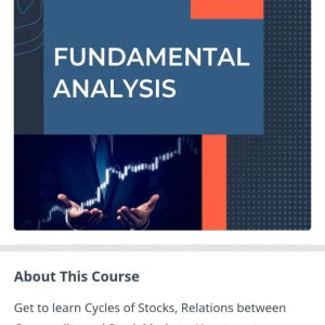 Wealth Saga WSG Pro – Investor Fundamental analysis Course