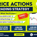 Vinbull Trading Academy Course – Basic To Advanced Option Trading Course