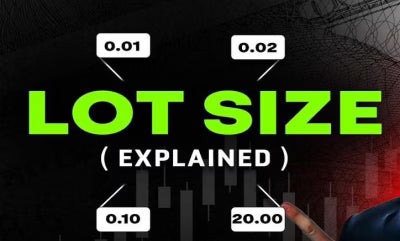 Trader Gupta Lot Size Explained