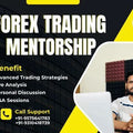 Capit Craft Course Forex Trading Mentorship Program