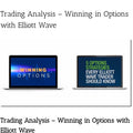 Trading Analysis – Winning in Options with Elliott Wave