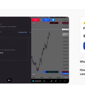 Dumb Money Concepts (Powell Trades)