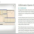Aaron Lynch Ultimate Gann Course
